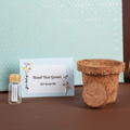 Awesome Grow Kit New Years Gift Box