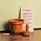 Green Diwali Gift Box