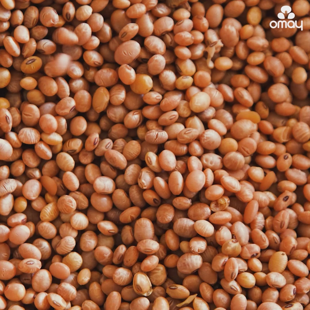 Solid Soyabean